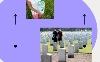 Тенденции на рынке кремации и захоронений: анализ современной ситуации в России