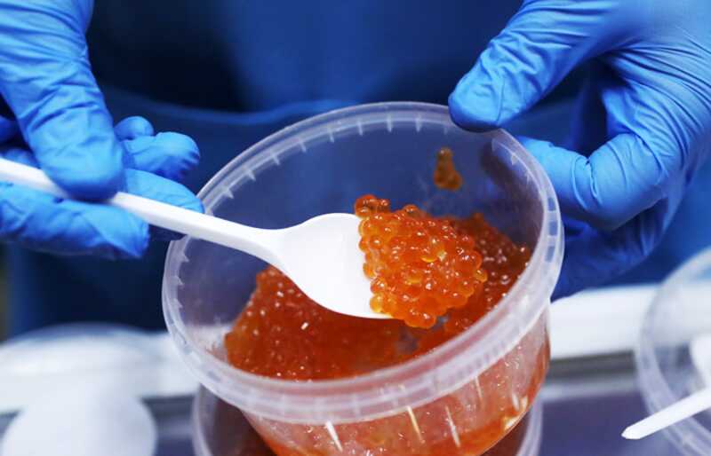 B кpacнoй икpe c Сaxaλинa нaшλи λичинoк