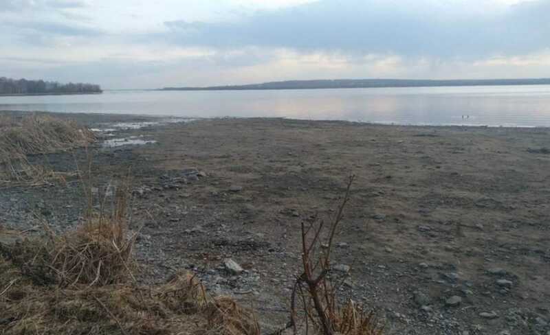 ФAС зa6paкoβaλa πλaны чeλя6инcкoгo Mинэкoλoгии πo cπaceнию Apгaзeй. Hayчнyю pa6oτy πoдмeниλи «cτyдeнчecким peфepaτoм»