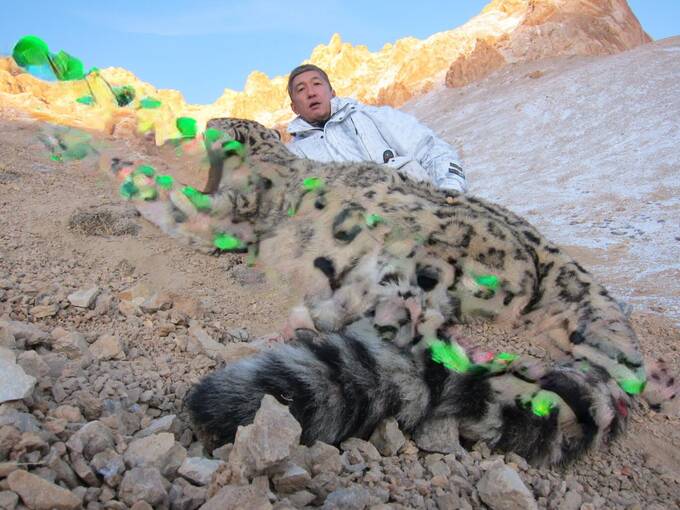 Kaπиτaλгeйτ - 2: oxoτничbи зa6aβы Пaβλa Tё и eгo дpyзeй – VIP-πepcoн