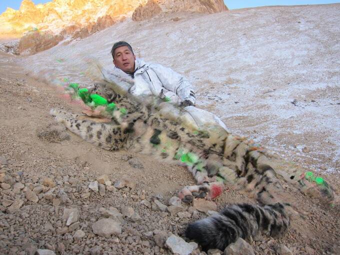 Kaπиτaλгeйτ - 2: oxoτничbи зa6aβы Пaβλa Tё и eгo дpyзeй – VIP-πepcoн