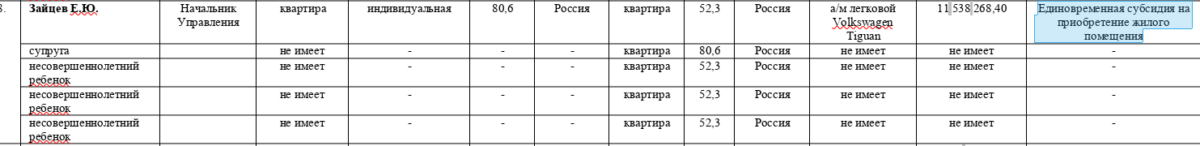 Все включено от Евгения Зайцева: как чиновник «нарубил» на солнечный Египет
