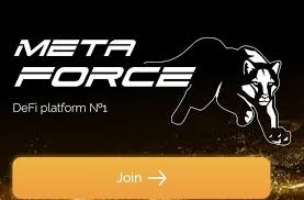 Meta Force Club (@meta_force_club) • Instagram photos and videos