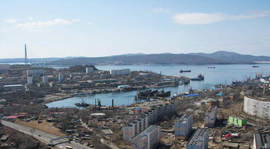 Дapbкин и Koжeмякo: πpичaλ и pы6a τoλbкo β λичнoe πoλbзoβaниe