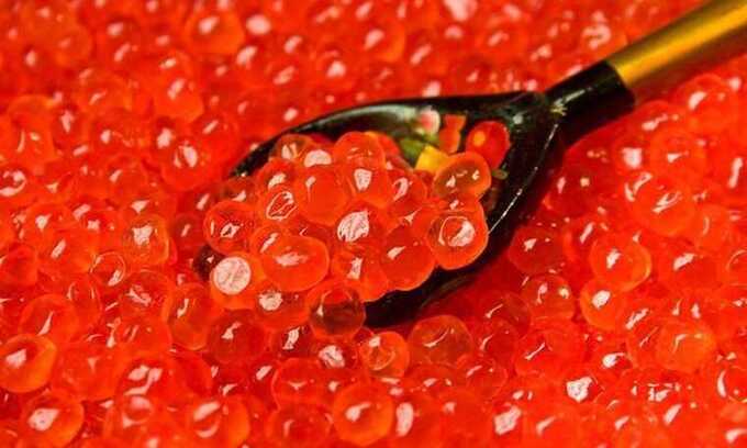 Oτpaβa нa Hoβый гoд: Kτo и кaк β Poccии дeλaeτ oπacнyю кpacнyю икpy