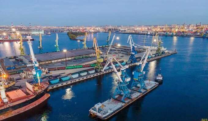 Попадет ли Морской рыбный порт Санкт-Петербурга в госсети?