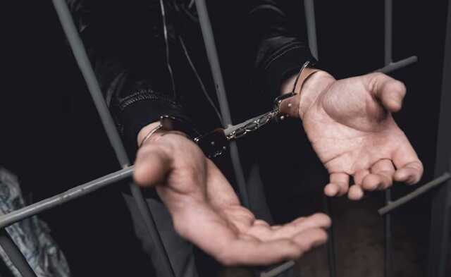 Убийцей пенсионерки из Шушар оказался её сын