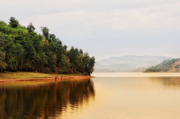 Враждебность мира Африки