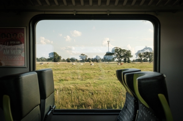 Какие правила и стоимость провоза багажа в поездах РЖД?