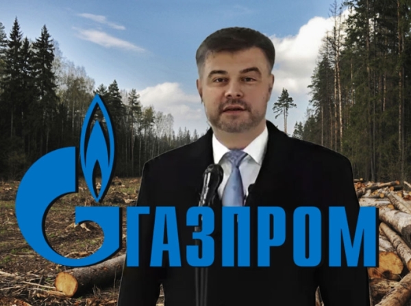 Пансионат вместо природы: Газпром и Генплан лишают петербуржцев леса