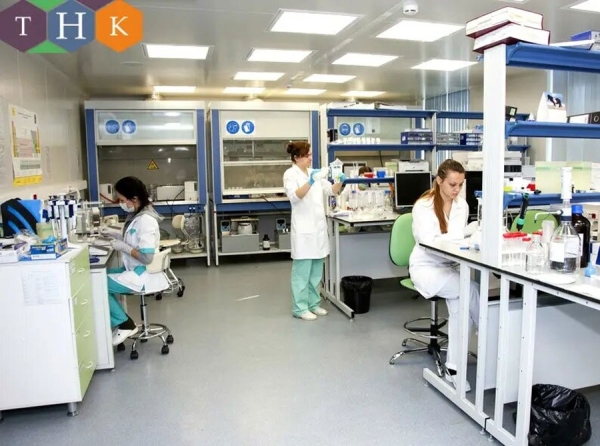 Юридический разбор франшизы ТНК