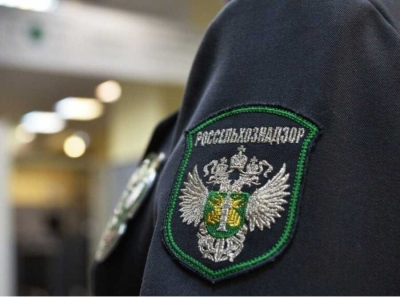 Дагестанская мафия бюджетов: бывший руководитель Россельхознадзора и ревизор казначейства на скамье подсудимых