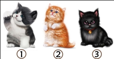 Выберите МАЛЕНЬКОГО КОТЕНКА, который принесет вам ВАЖНОЕ СООБЩЕНИЕ