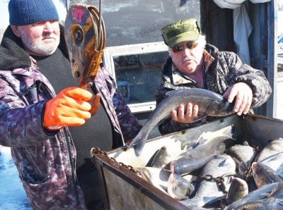 Кубанский пруд для топ-менеджера Транснефти