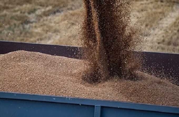 Россиянина засыпало зерном на птицефабрике