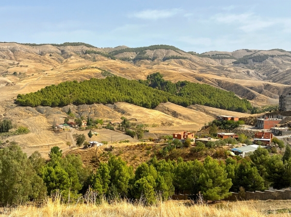 Джемила - бывшая житница Рима