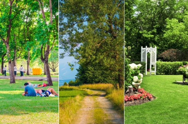 Личностный тест: общественный парк, частный сад или сельская местность? То, что вы предпочитаете, раскрывает ваше чувство свободы