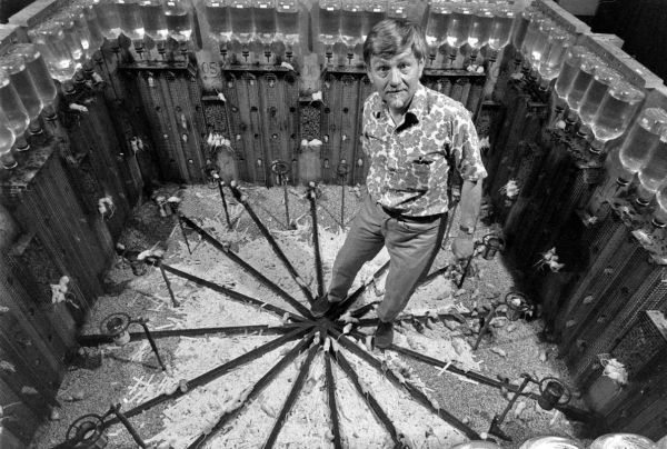 Эксперимент «Вселенная 25». Как создание настоящего рая закончилось катастрофой