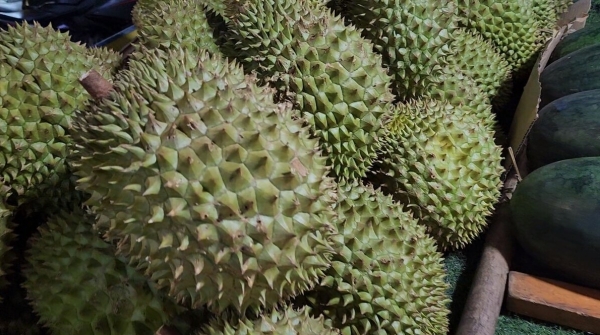 Запрещённый &quot;король&quot; фруктов, который смердит канализацией, помоями и тухлятиной: Из - за него разворачивают самолёты и выгоняют из отелей