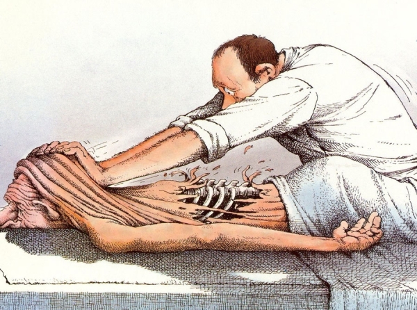 Франшиза LITEBODY17: Мошенничество, развод и черная бухгалтерия — как вас могут оставить без денег!