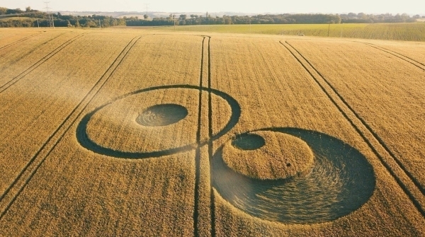 Кто и зачем рисует круги на полях