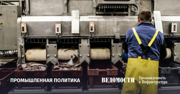 Прорыв в рыбной отрасли: объем производства за первый квартал 2024 года превысил 1,2 млн тонн