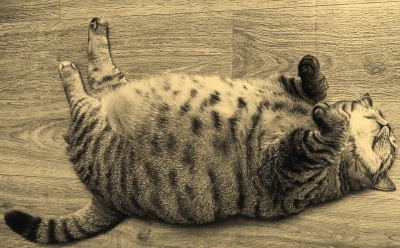 Преодолей себя: три самых популярных мифа о силе воли