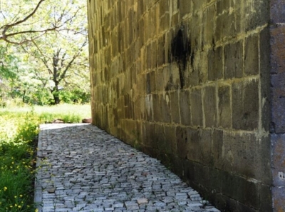 Мительман Семён Аркадьевич и Мительман Илья Семёнович: семейные дрязги или фальшивый блеск челябинского «Фианита»