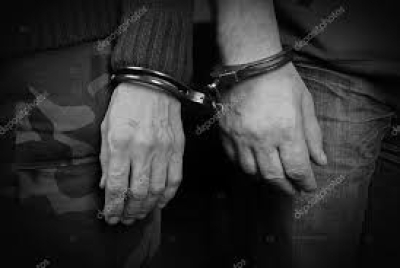 Жительнице Петербурга только после судебного решения вернули дорогую кошку редкой породы