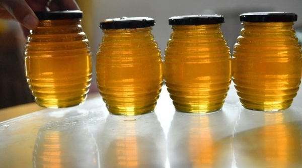 Как правильно выбирать и использовать мед?