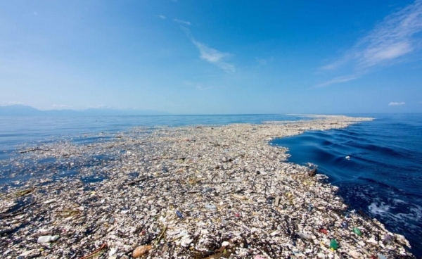 Восточный мусорный континент и его обитатели