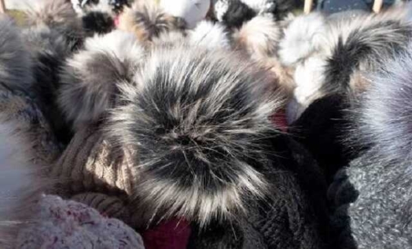 Меховая компания «Елена Фурс», не платившая налоги, стала банкротом и должна полмиллиарда