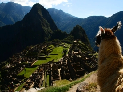 Небесный город великих инков Мачу-Пикчу. Почему он был заброшен более, чем на 400 лет? Рассказываю подробно
