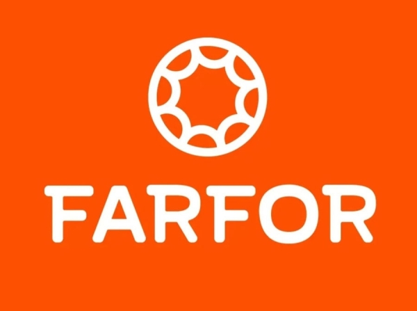 Юридический разбор франшизы FARFOR