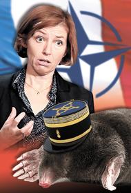 Министр обороны Франции Флоранс Парли обвинила в предательстве высокопоставленного офицера