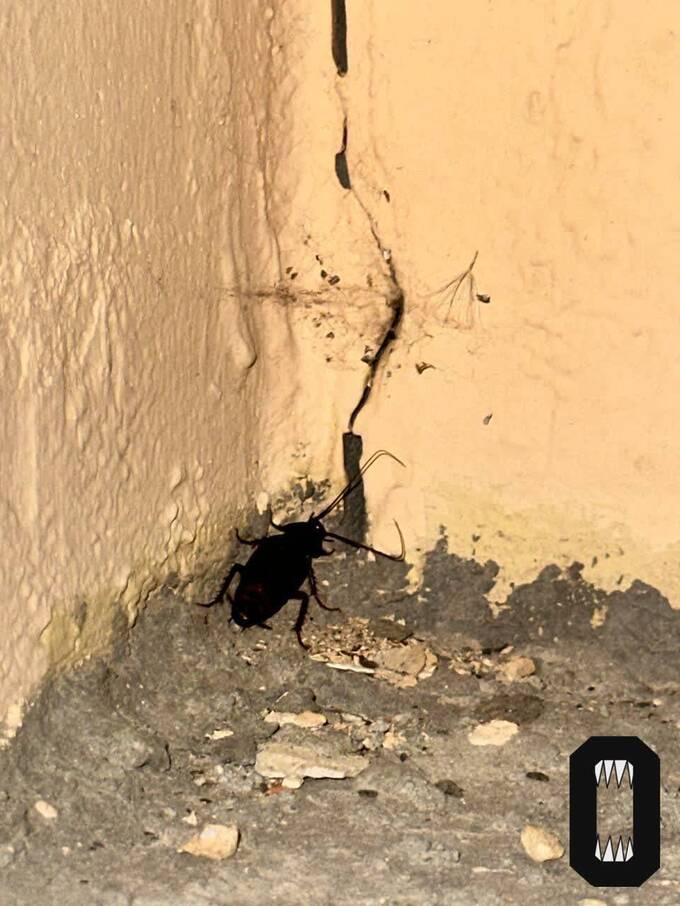  uriqzeiqqiuhatf kkiqqqidrxiquvls