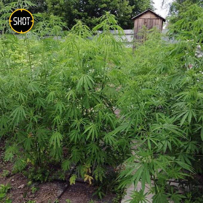  dzzqyxkzyquhzyuzxyqzyydzratf kkiqqqidrxiqxvls