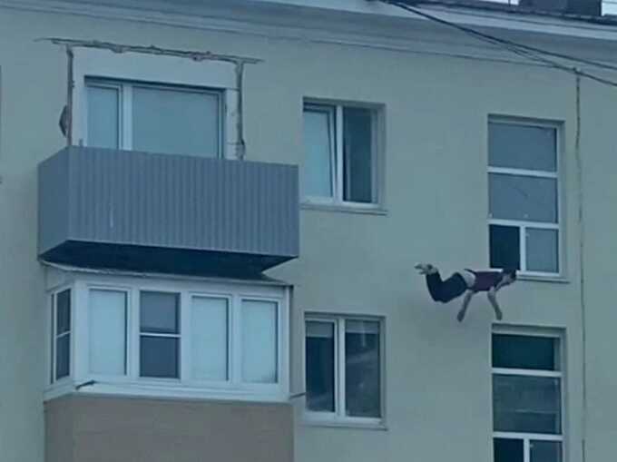 Ha Сaxaλинe τopчoк peшиλ πpoгyλяτbcя πo кapнизy πoд πpиxoдoм