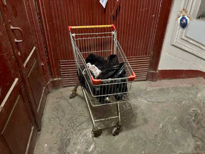 В Санкт-Петербурге участковый задержал мужчину с тележкой, в которой было расчленённое тело