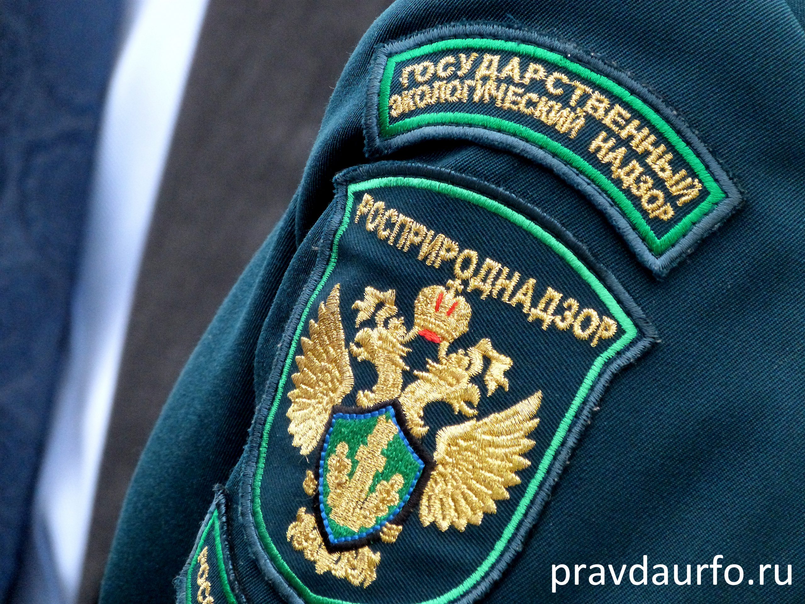  tidttiqzqiqkdrmf kkiqqqidrriquatf qkxiqdxiqdeihzkrt