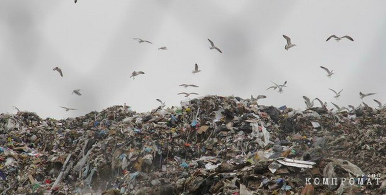 Котляренко лезет в бюджет Текслера через Магнитогорск. За мусорный комплекс «Ситиматика» жители и предприниматели заплатят дважды tidttiqzqiqkdrmf dzzqyxkzyquhzyuzxyqyyztatf dqdiqhiqqeihtkrt