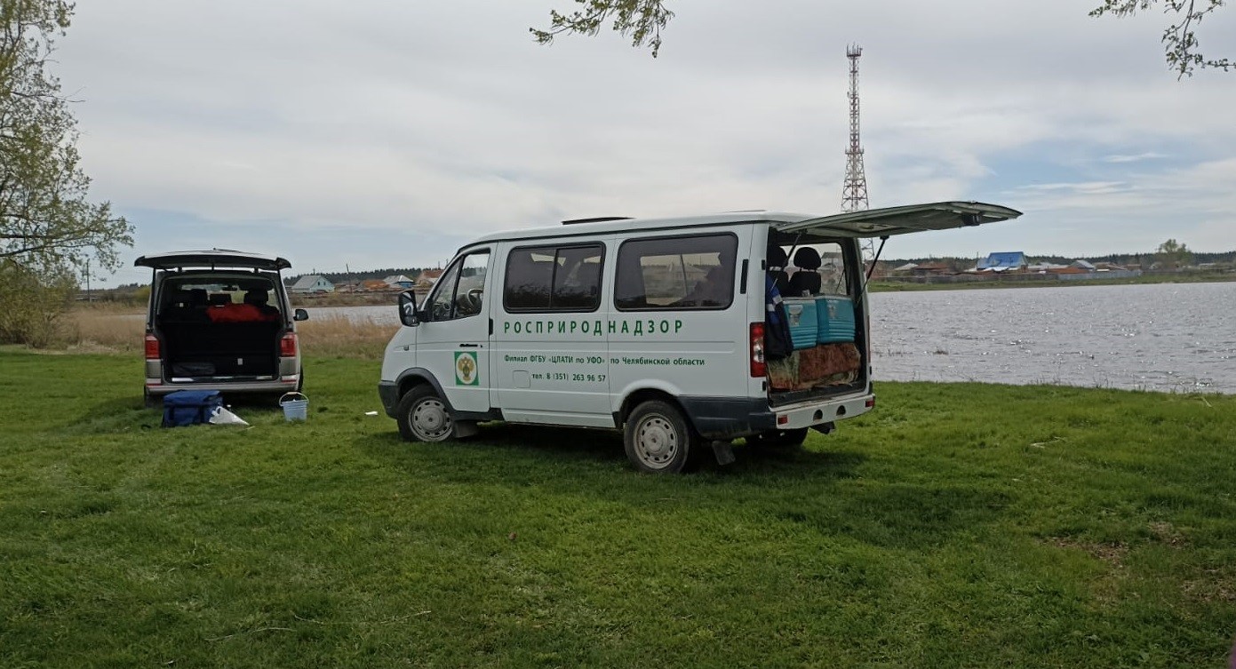 Цианиды в реке Уй: новый подарок от миллиардера Струкова